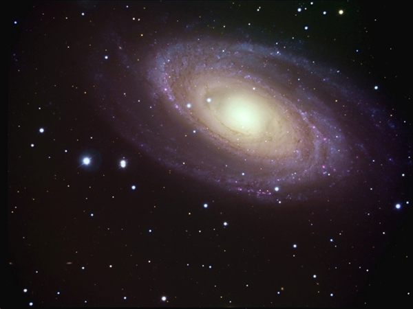M-81