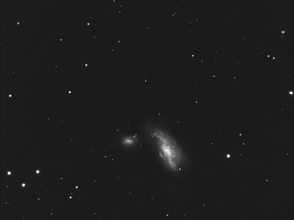 NGC-4490