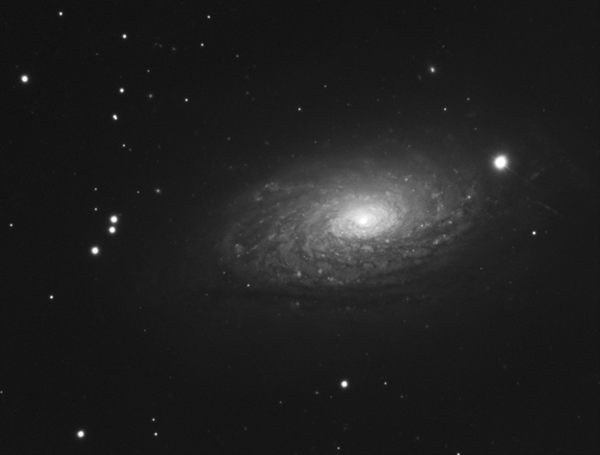 NGC-5055