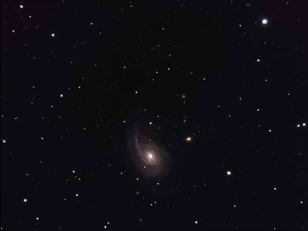 NGC-772