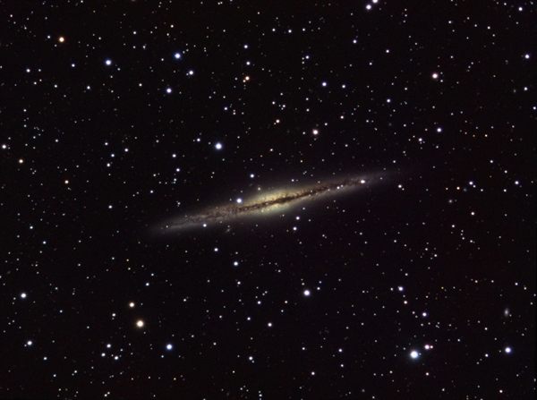 NGC-891
