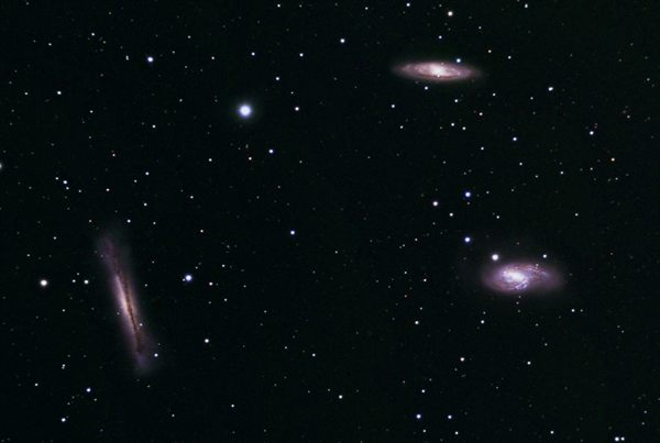Leo Trio Using WO80