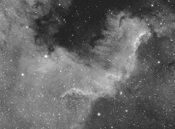 NGC-7000 North America Nebula In H-alpha